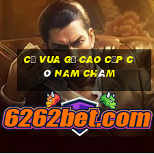 cờ vua gỗ cao cấp có nam châm