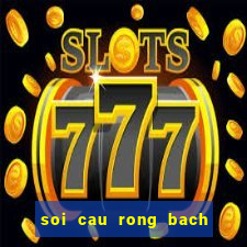 soi cau rong bach kim tv