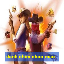 danh chim chao mao