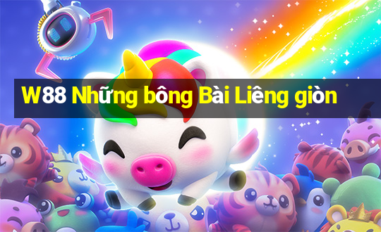 W88 Những bông Bài Liêng giòn