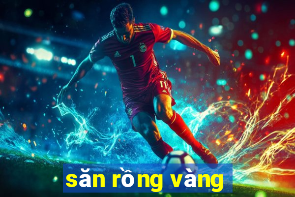 săn rồng vàng