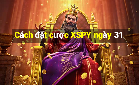 Cách đặt cược XSPY ngày 31