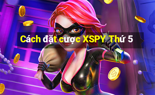 Cách đặt cược XSPY Thứ 5