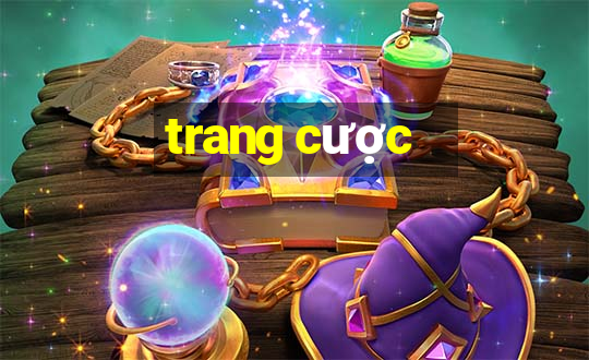 trang cược