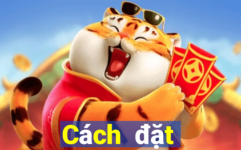 Cách đặt cược XSTV ngày 4