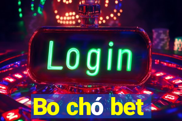 Bo chó bet