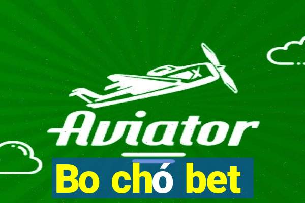 Bo chó bet