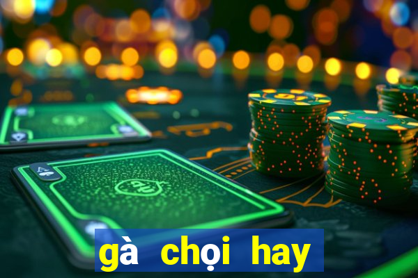 gà chọi hay nhất miền bắc