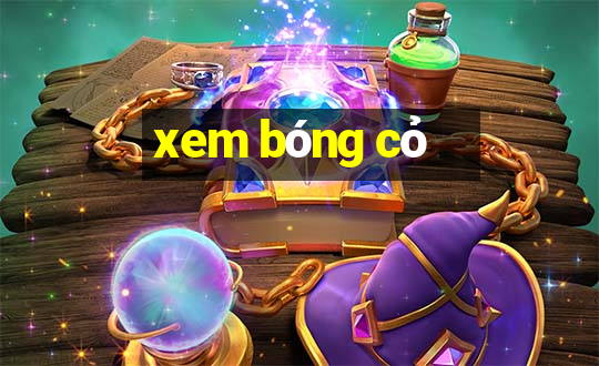 xem bong co