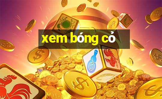 xem bong co