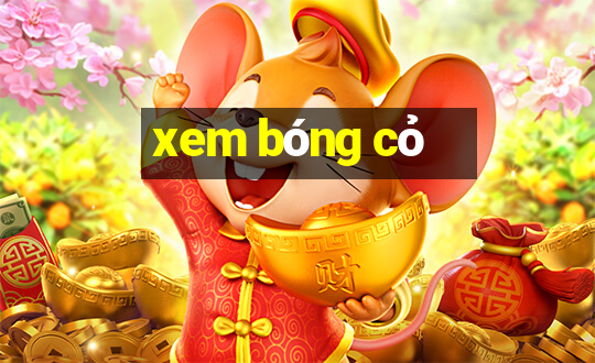 xem bong co