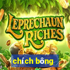 chích bông