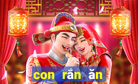 con rắn ăn thịt người