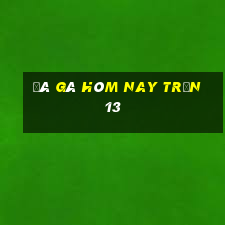 đá gà hôm nay trận 13