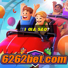 Đại gia sao?