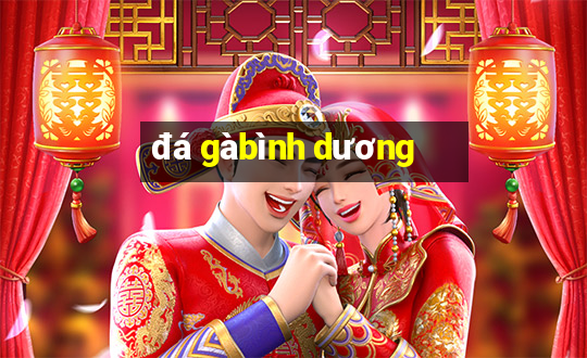 đá gà bình dương