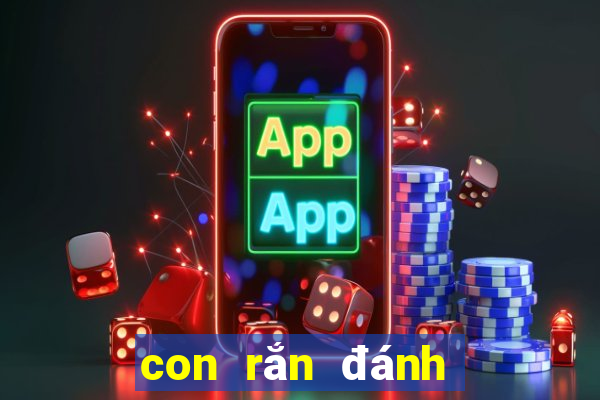 con rắn đánh số mấy