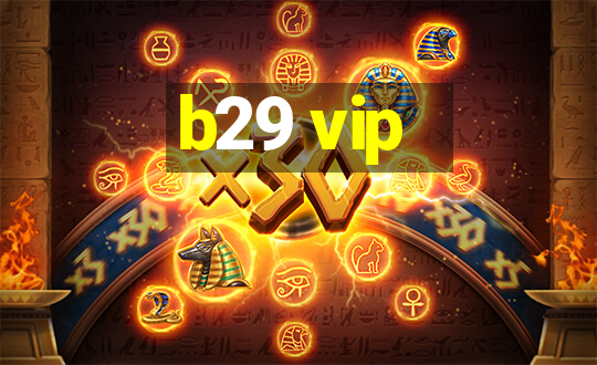 b29 vip