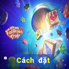 Cách đặt cược XSHCM ngày 9