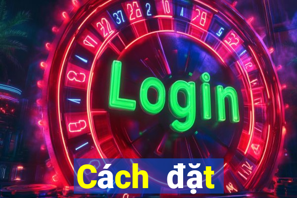 Cách đặt cược XSQN ngày 8