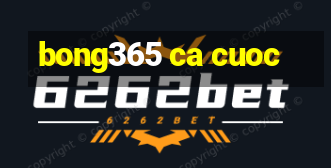 bong365 ca cuoc