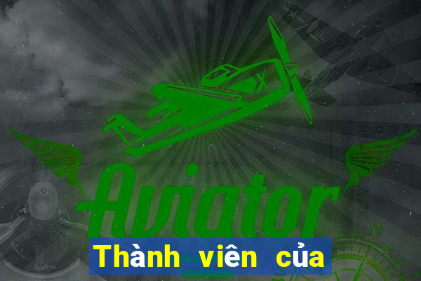 Thành viên của Bo 500