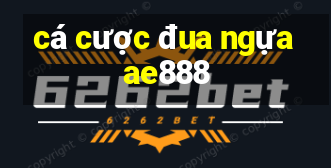 cá cược đua ngựa ae888