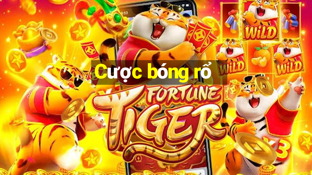 Cược bóng rổ