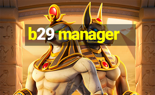 b29 manager