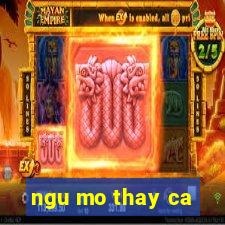 ngu mo thay ca