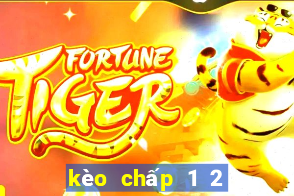 kèo chấp 1 2 là gì