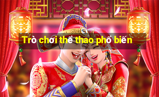 Trò chơi thể thao phổ biến