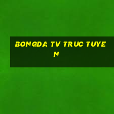 bongda tv truc tuyen