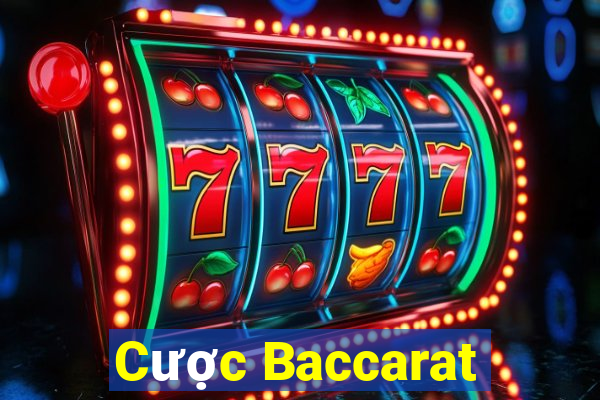 Cược Baccarat