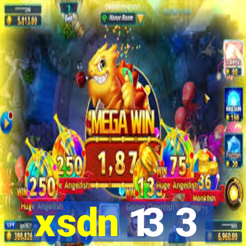 xsdn 13 3