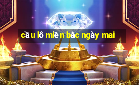 cầu lô miền bắc ngày mai