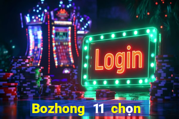 Bozhong 11 chọn năm phần mềm