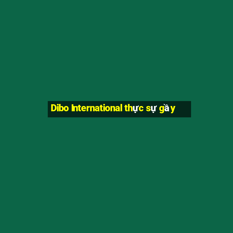 Dibo International thực sự gầy