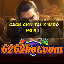 cách chơi tài xỉu bóng rổ