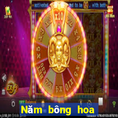 Năm bông hoa vàng ở Thành Đô