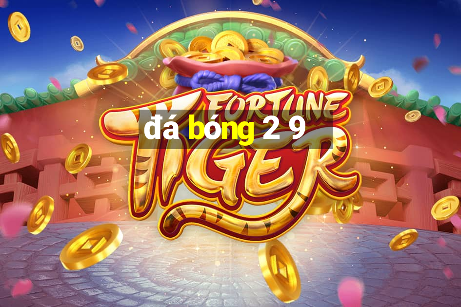 đá bóng 2 9