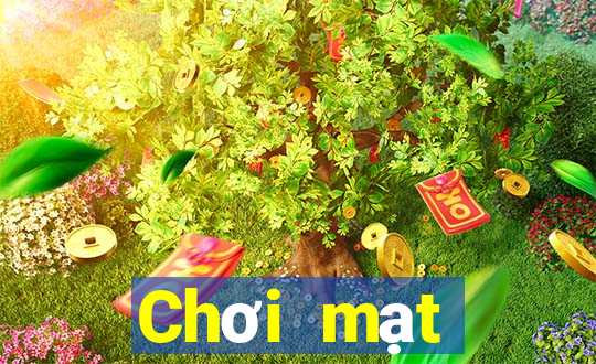 Chơi mạt chược wed