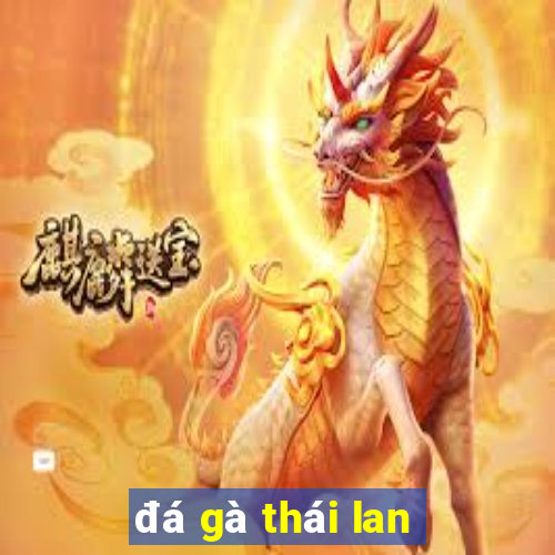 đá gà thái lan