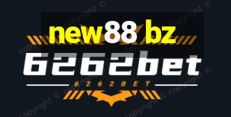 new88 bz