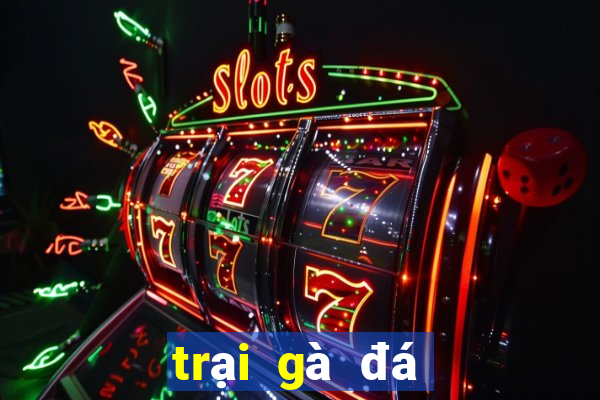 trại gà đá nổi tiếng