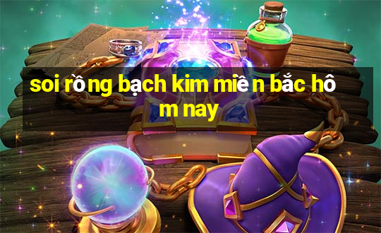 soi rồng bạch kim miền bắc hôm nay