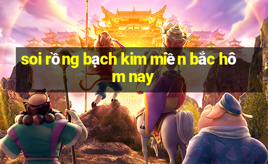 soi rồng bạch kim miền bắc hôm nay