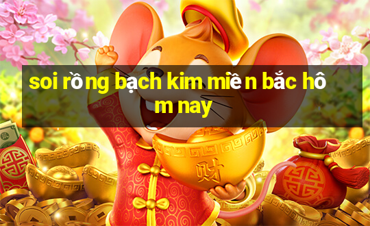 soi rồng bạch kim miền bắc hôm nay