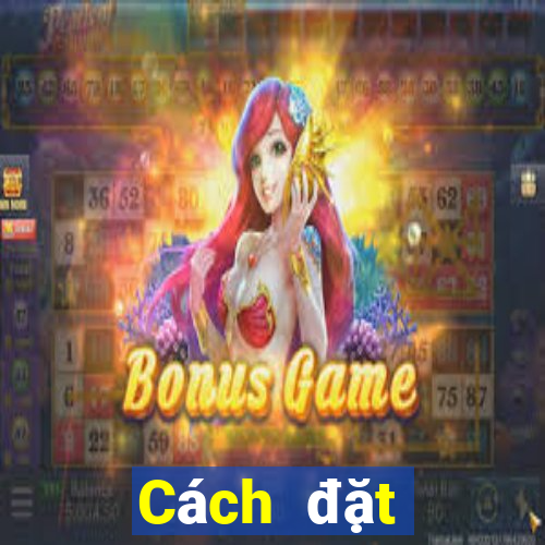 Cách đặt cược XSGL ngày 8