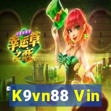 K9vn88 Vin